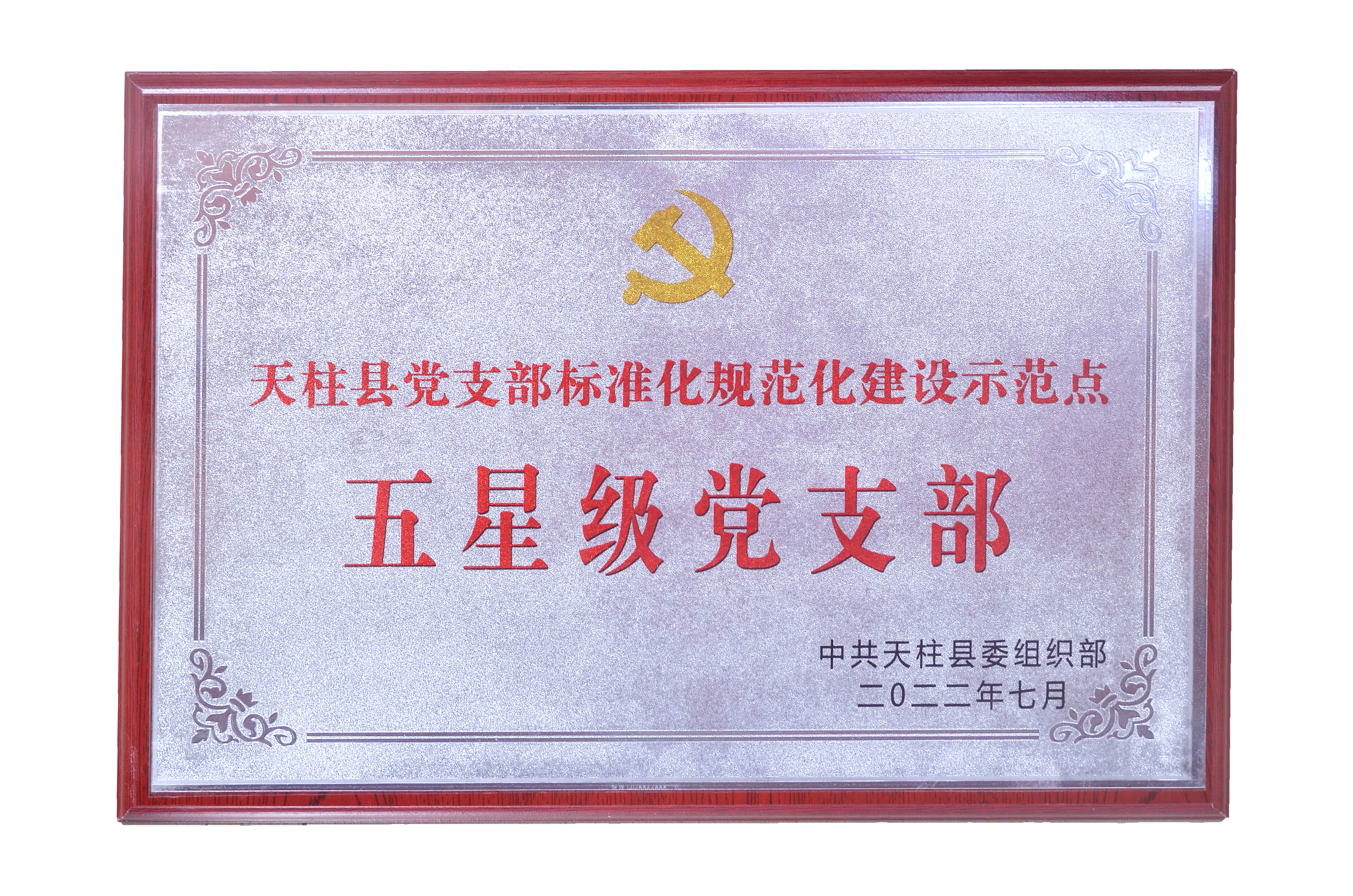 五星級黨支部